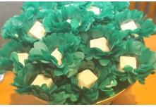 Casamento Isabela e Francieder