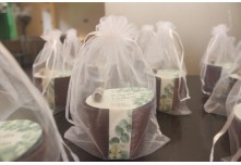 Casamento Rafaella e Vinilson