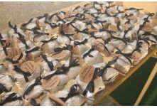 Casamento Tainy Isis e Carlos Antônio 