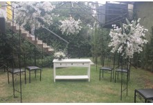 Casamento Ariane e Tulio 