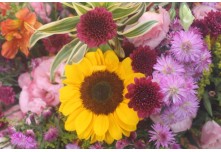 Casamento Ariane e Tulio 