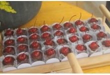 Casamento Ariane e Tulio 