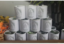 Casamento Ariane e Tulio 