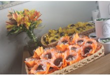 Casamento Ariane e Tulio 