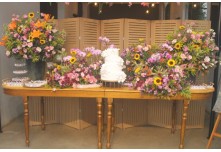 Casamento Ariane e Tulio 