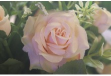 Casamento Márcia e Odair Macedo