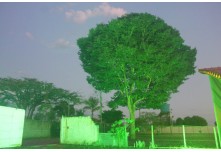 Casamento Márcia e Odair Macedo