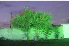 Casamento Márcia e Odair Macedo