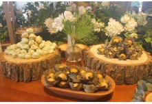  Casamento Maria Luiza e João Victor