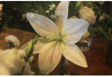  Casamento Maria Luiza e João Victor