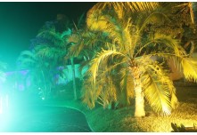 Casamento Luisa e Clewerton