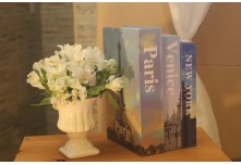 Casamento Luisa e Clewerton