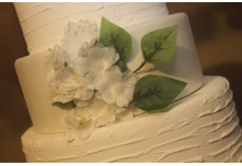 Casamento Luisa e Clewerton