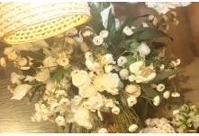 Casamento Luisa e Clewerton