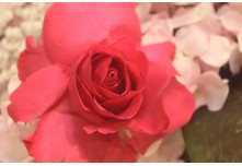 Casamento Angélica e Matheus