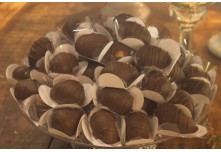 Casamento Angélica e Matheus