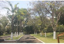 Casamento Angélica e Matheus