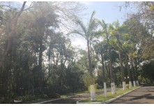 Casamento Angélica e Matheus