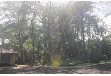 Casamento Angélica e Matheus