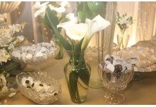 Casamento Karoline e Yuri