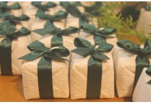 Casamento Kamila e Roger