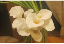 Casamento Kamila e Roger