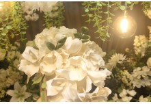 Casamento Kamila e Roger