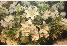 Casamento Kamila e Roger