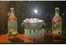 Casamento Kamila e Roger