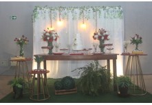 Casamento Luciana e João