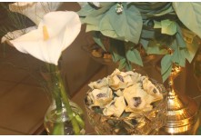 Casamento Edinivia e Dionatam