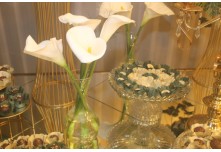 Casamento Edinivia e Dionatam