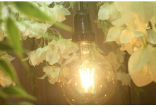 Casamento Edinivia e Dionatam