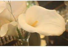 Casamento Edinivia e Dionatam