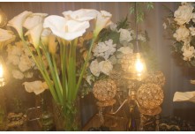 Casamento Edinivia e Dionatam