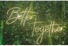 Casamento Edinivia e Dionatam