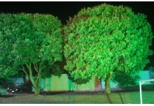 Casamento Edinivia e Dionatam