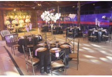 Niver 15 Anos Marielly Capóia