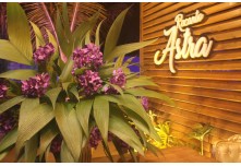 Niver 15 Anos Marielly Capóia