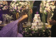 Niver 15 Anos Marielly Capóia