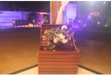 Niver 15 Anos Marielly Capóia