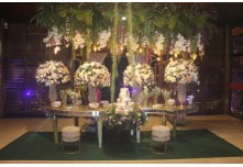 Niver 15 Anos Marielly Capóia