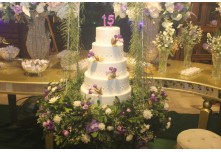 Niver 15 Anos Marielly Capóia