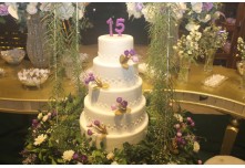 Niver 15 Anos Marielly Capóia