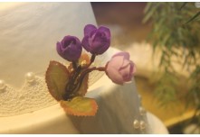 Niver 15 Anos Marielly Capóia