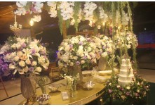 Niver 15 Anos Marielly Capóia