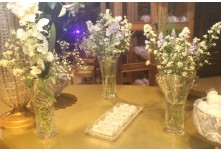 Niver 15 Anos Marielly Capóia