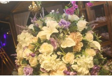 Niver 15 Anos Marielly Capóia