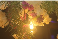 Niver 15 Anos Marielly Capóia