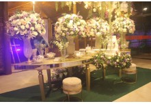 Niver 15 Anos Marielly Capóia